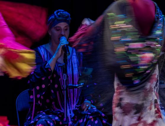 CANTANDO A LA VIDA. ECUADOR, 2020.