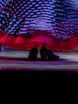 SUEÑA FLAMENCO. ECUADOR, 2023.